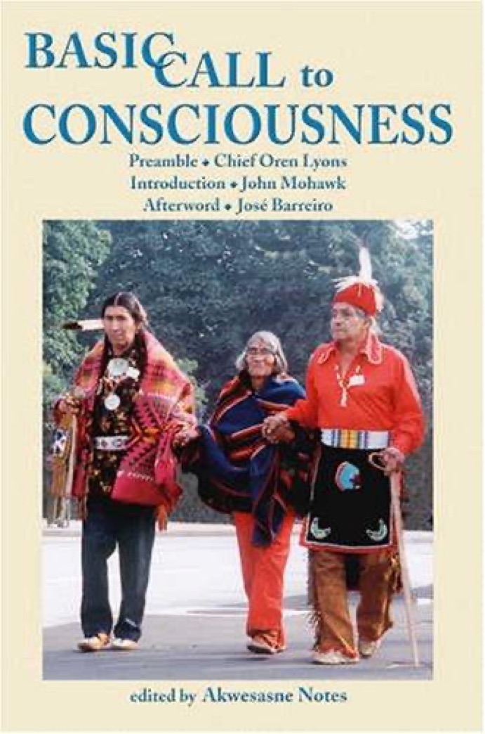 Cover of A Basic Call to Consciousness