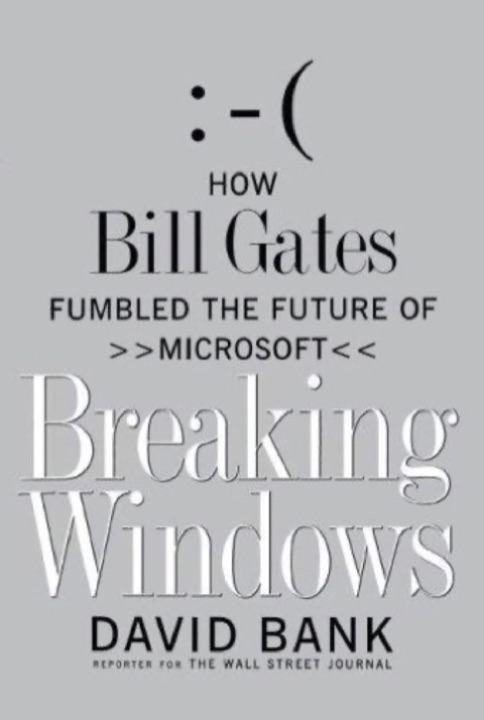 Cover of Breaking Windows