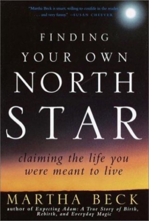 Cover of Finding your own North Star
