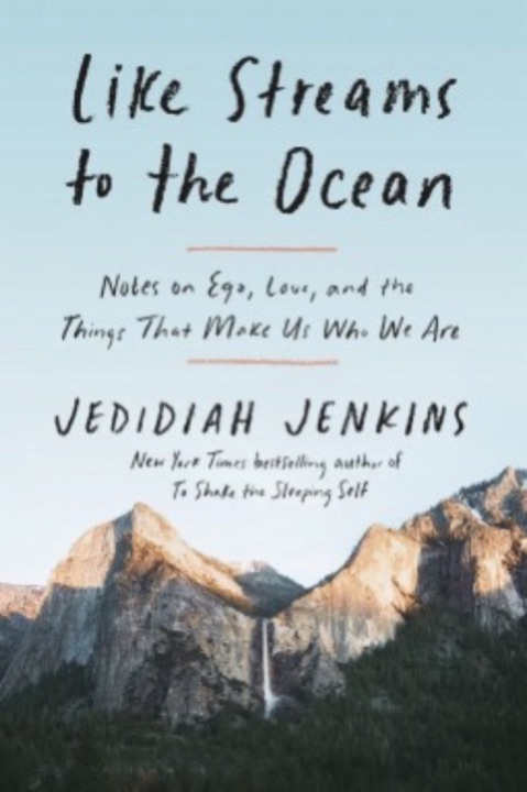 Cover of Like Streams to the Ocean: Notes on Ego, Love, and the Things that Make Us Who We Are