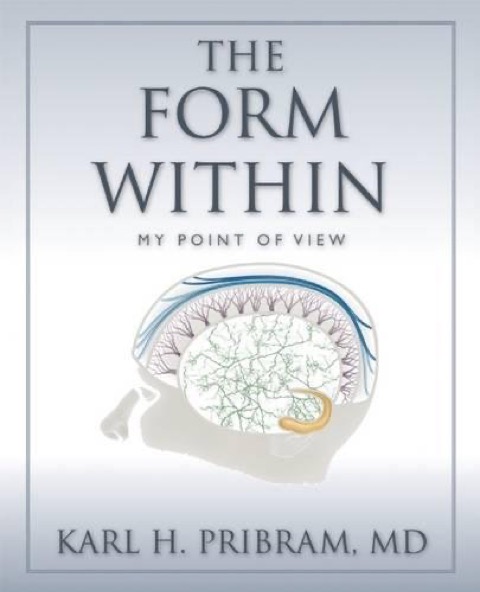 Cover of The Form Within: My Point of View