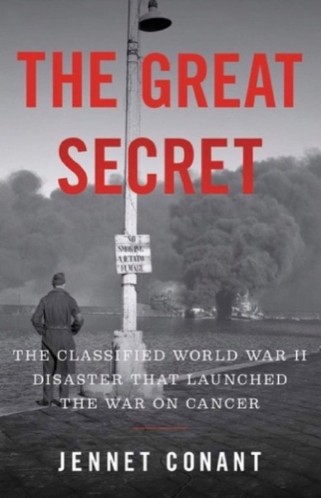 Cover of The Great Secret