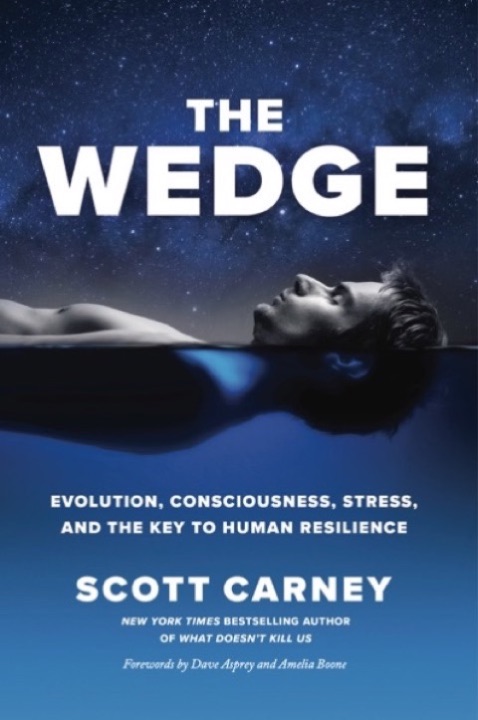 Cover of The Wedge: Evolution, Consciousness, Stress, and the Key to Human Resilience