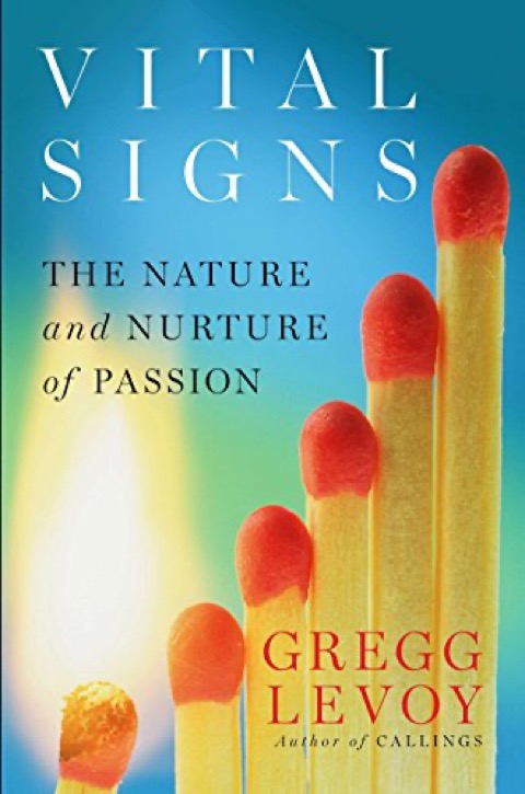 Cover of Vital Signs: The Nature and Nurture of Passion